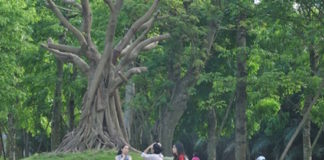 khu vui chơi dành cho trẻ em Ecopark