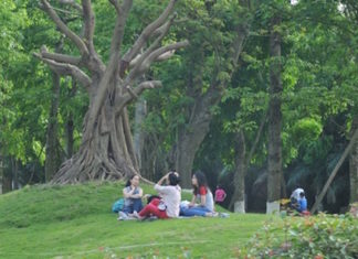 khu vui chơi dành cho trẻ em Ecopark