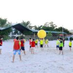 Trò chơi đập bóng cho trung tâm giải trí: Cách khai thác