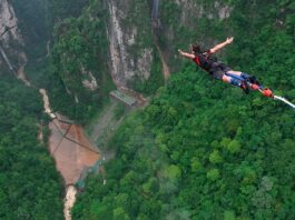Trò nhảy bungee giải trí: Chọn thiết bị cho khu vui chơi tro nhay bungee giai tri thiet bi khu vui choi content image